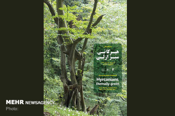 افتتاح نمایشگاه عکس «ثبت جهانی جنگل های هیرکانی» در کاخ نیاوران